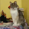 Отзыв от Лидия Самсонова